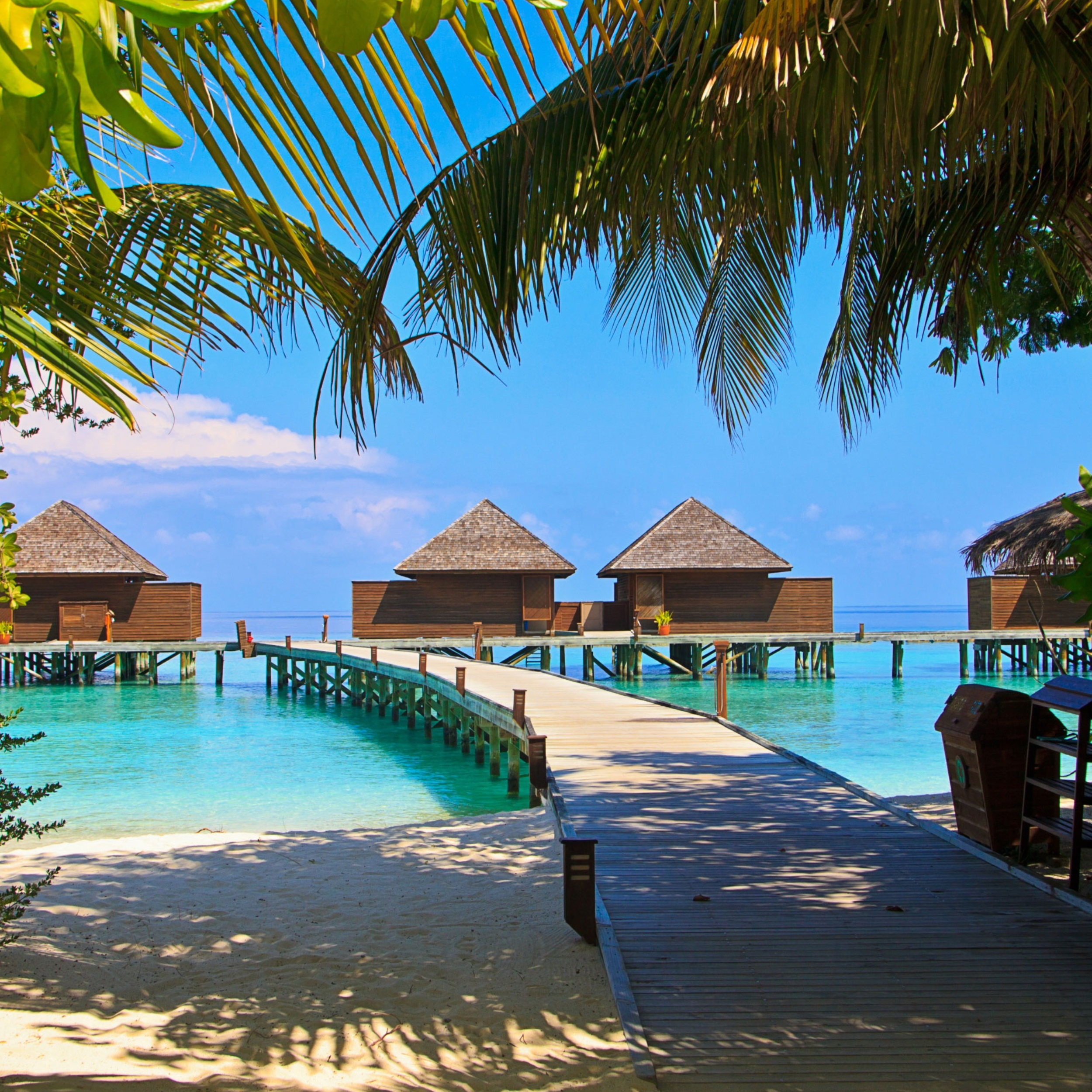 The Maldives: The Top 5 Reasons to Visit this Ultimate Tropical (Vibes) Paradise!