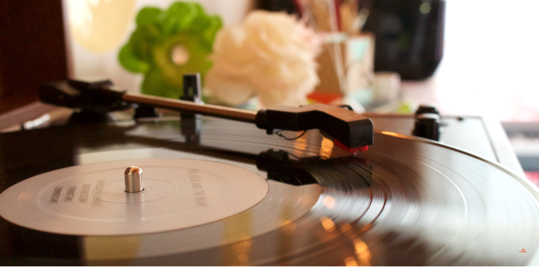 How to Create a Tropical Vibe Playlist Without the Usual Suspects