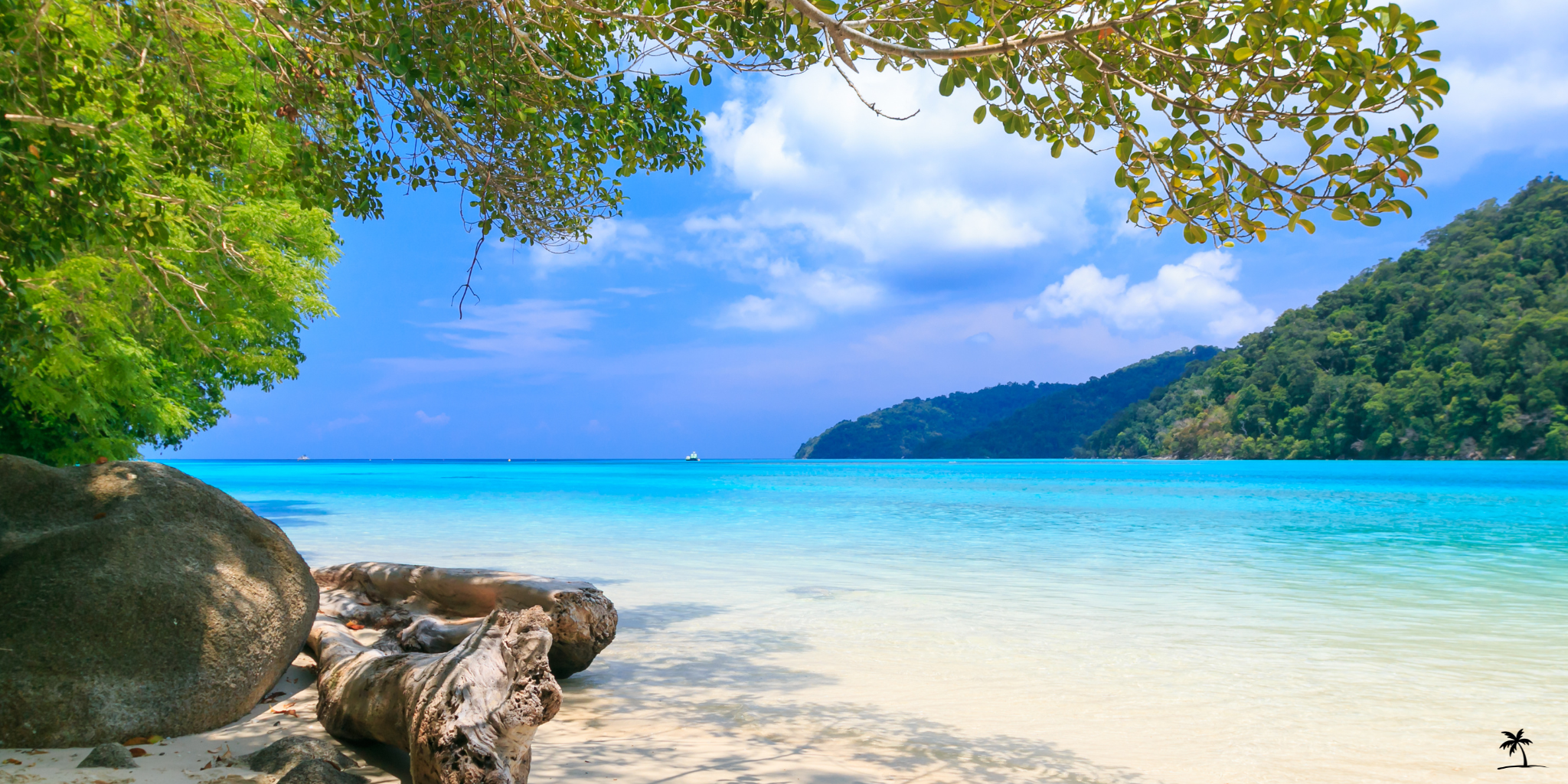 Spring is Here—Time to Turn Up the Tropical Vibes