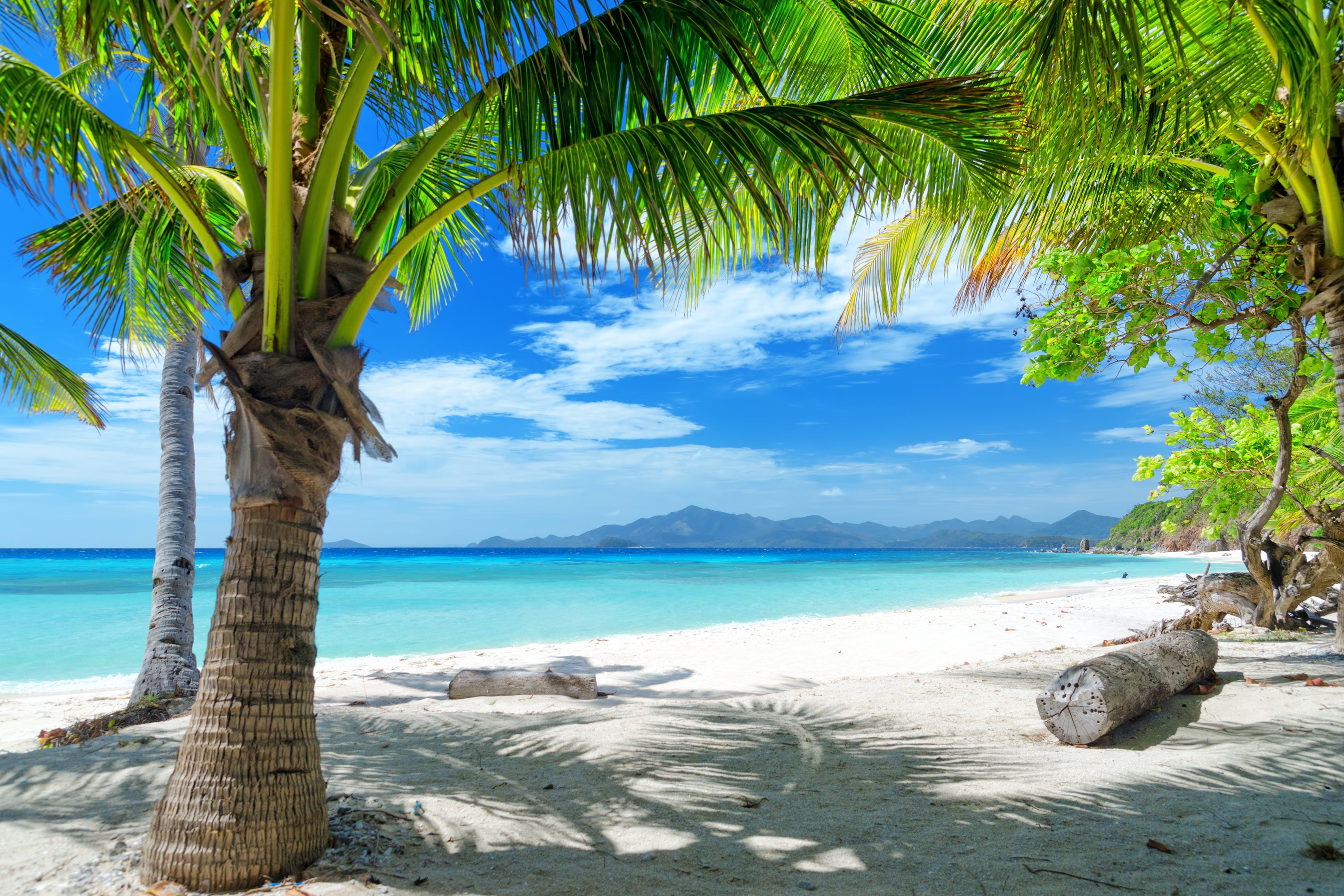 7 Awesome Reasons to Visit Paradise this Year