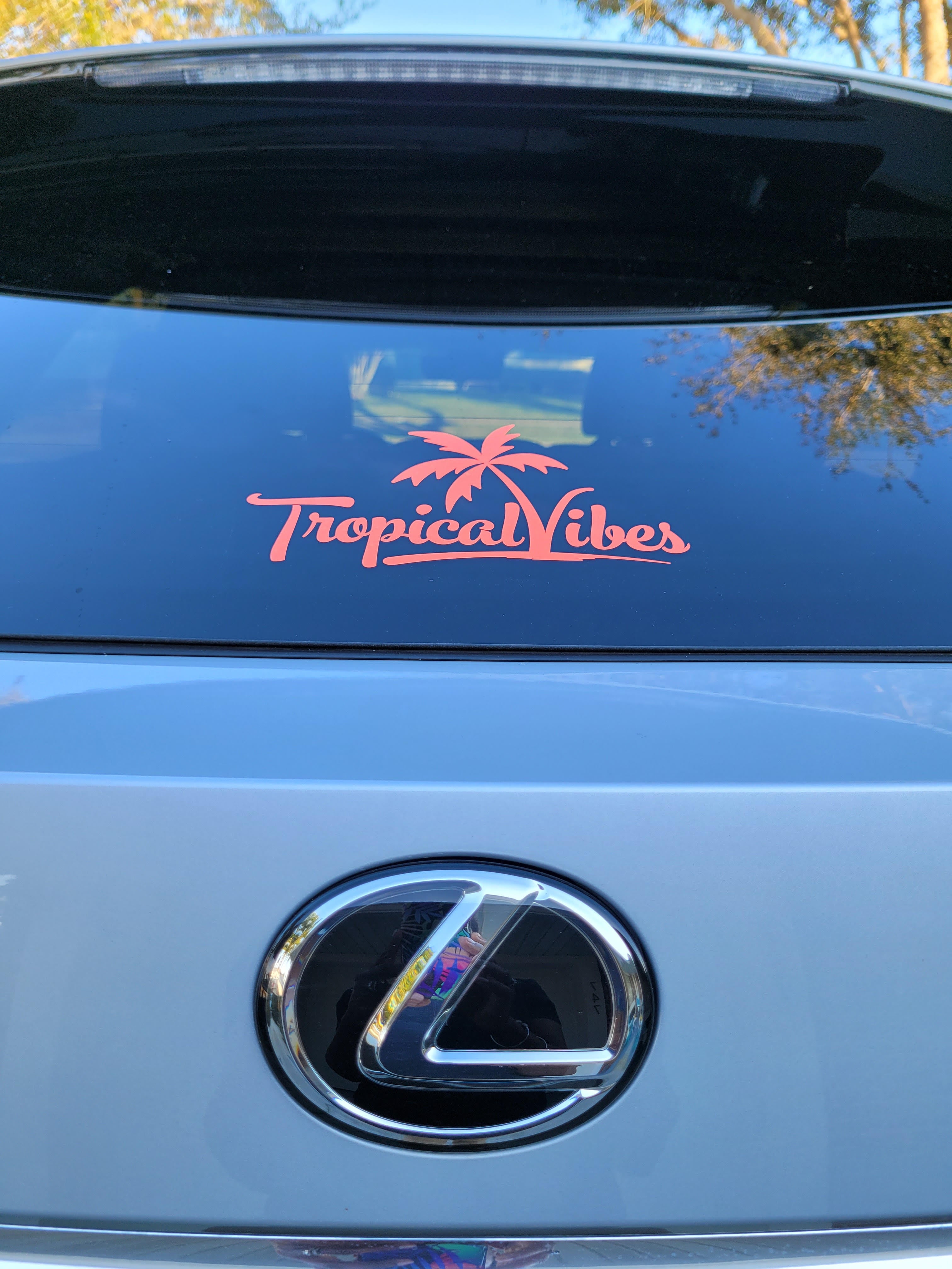 Tropical Vibes 8" Vinyl Decal – Orange, Pink, White, Green